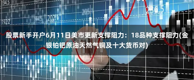 股票新手开户6月11日美市更新支撑阻力：18品种支撑阻力(金银铂钯原油天然气铜及十大货币对)