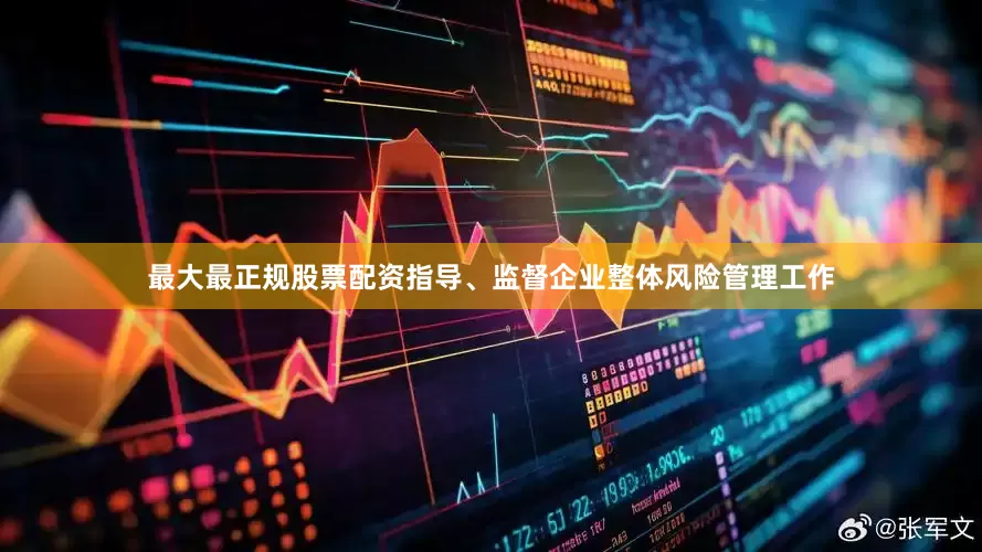 最大最正规股票配资指导、监督企业整体风险管理工作