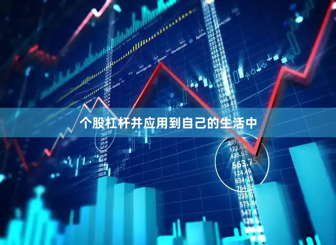 个股杠杆并应用到自己的生活中